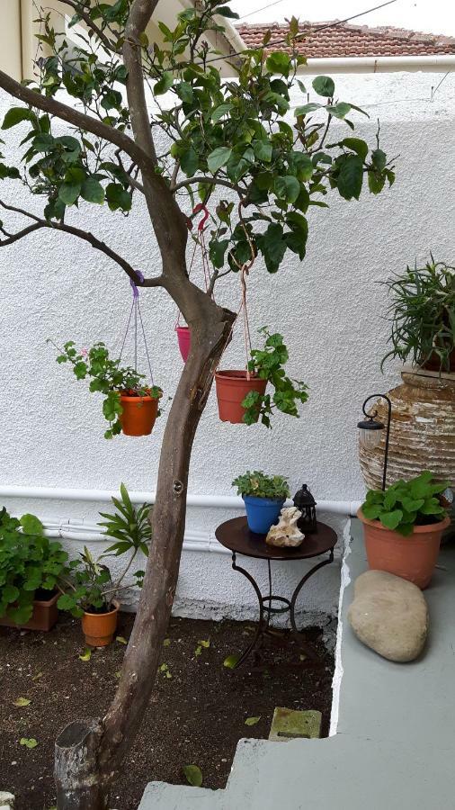 Cavos Seaside House Villa Vathy  Bagian luar foto